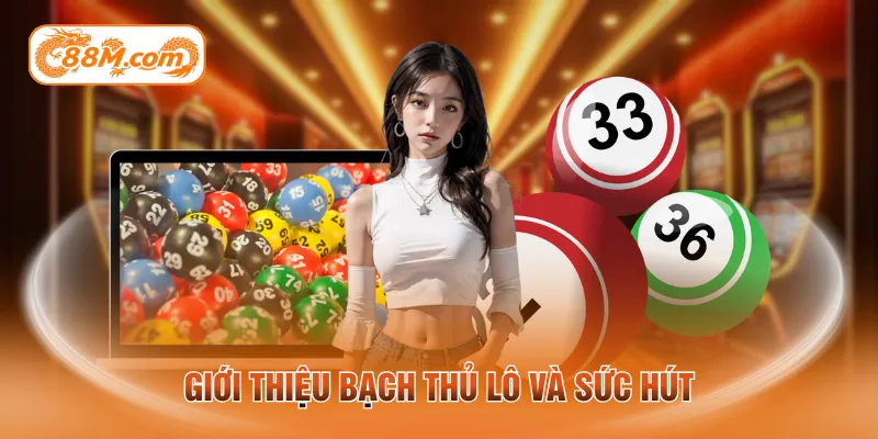 Giới thiệu bạch thủ lô và sức hút