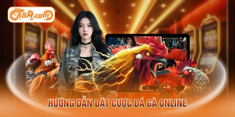 Hướng dẫn đặt cược đá gà online