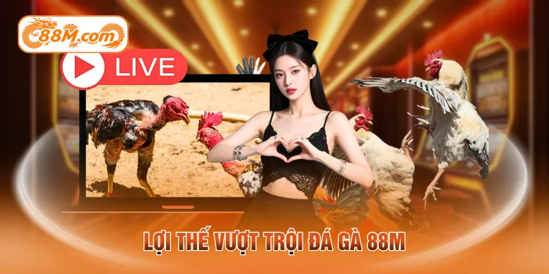 Lợi thế vượt trội đá gà 88M